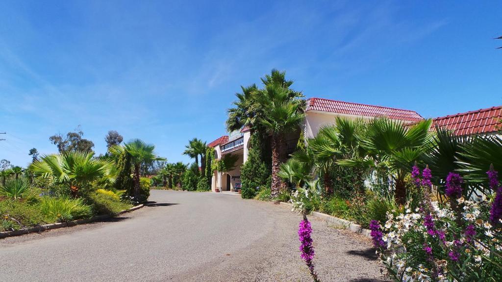 El Sierra Motel Barooga Eksteriør billede